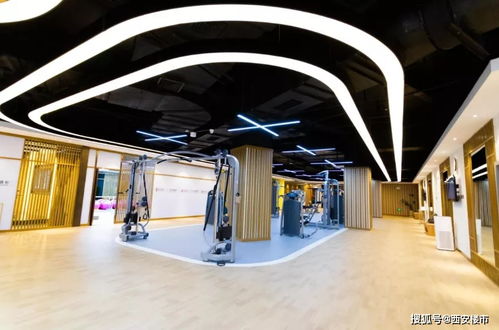 告別價格戰(zhàn)，旅游市場迎來產(chǎn)品力與服務(wù)體驗(yàn)的競爭新階段