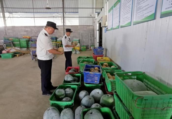 我市著力建設粵港澳大灣區(qū)菜籃子果盤子米袋子 食用農(nóng)產(chǎn)品供給持續(xù)升級